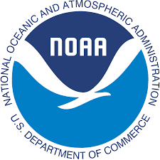 Logo 06